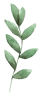 Blatt